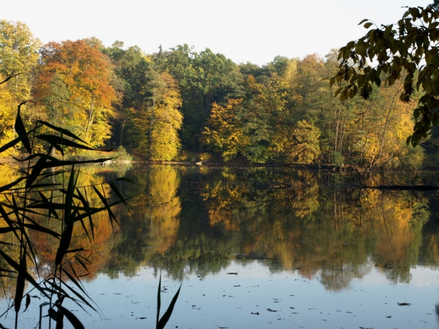 Choltická obora